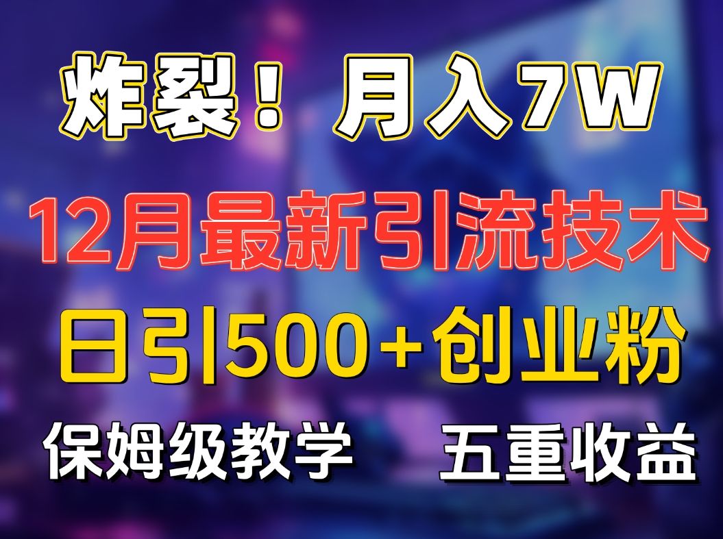 炸裂!月入7W+揭秘12月最新日引流500+精准创业粉,多重收益保姆级教学-靠谱项目库