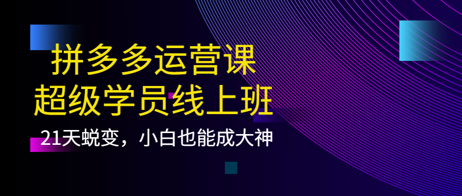 拼多多运营课:超级学员线上班,21天蜕变,小白也能成大神-靠谱项目库