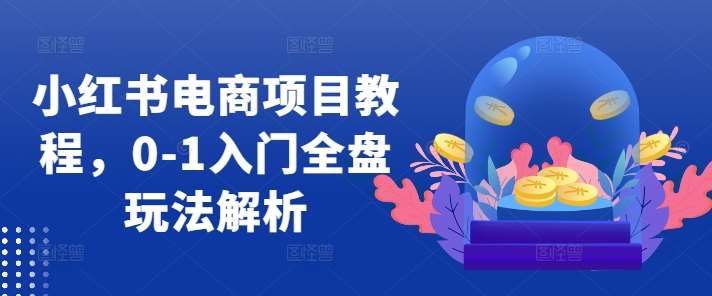 小红书电商项目教程，0-1入门全盘玩法解析-靠谱项目库