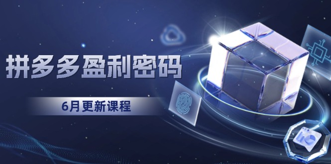 （15005期）拼多多盈利密码：从烧钱推广到印钞模型，底层逻辑重构指南（6月更新）-靠谱项目库