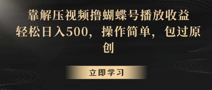 靠解压视频撸蝴蝶号播放收益，轻松日入500，操作简单，包过原创【揭秘】-靠谱项目库