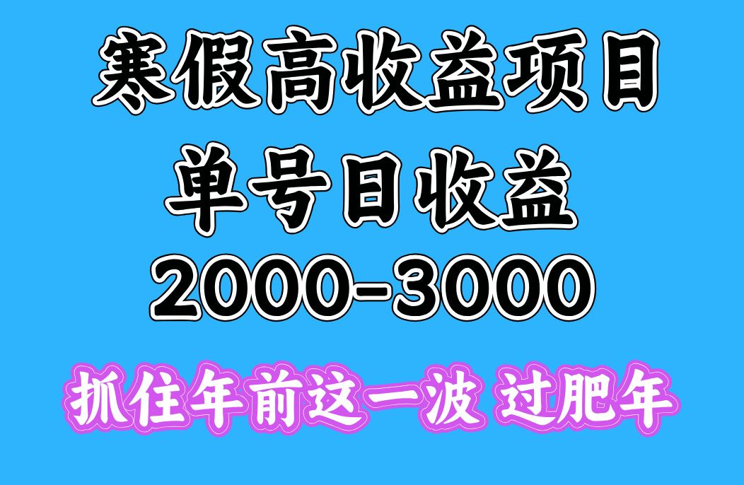 寒假期间一天收益2000-3000+,抓住年前这一波-靠谱项目库