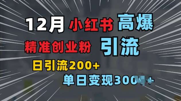 小红书一张图片“引爆”创业粉，单日+200+精准创业粉 可筛选付费意识创业粉【揭秘】-靠谱项目库