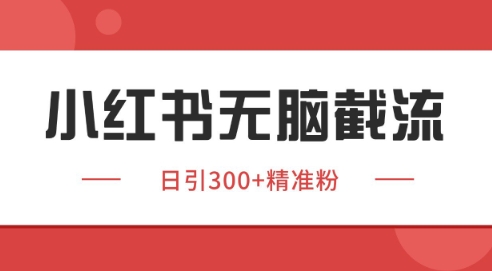 小红书截流同行客源,独家野路子获客玩法 日引200+暴力获客【揭秘】-靠谱项目库