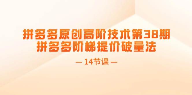 拼多多原创高阶技术第38期,拼多多阶梯提价破量法(14节课)-靠谱项目库