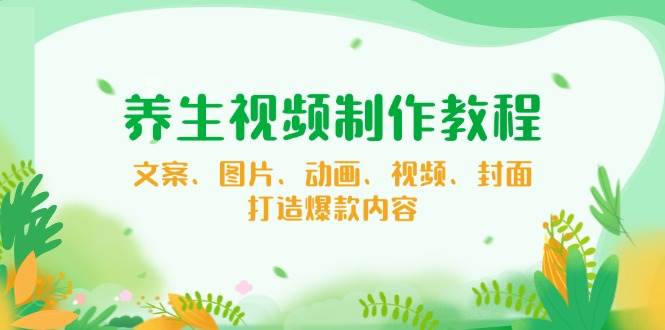 (14163期)养生视频制作教程,文案、图片、动画、视频、封面,打造爆款内容-靠谱项目库