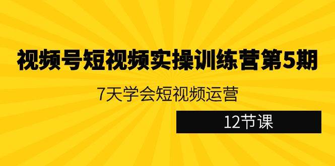 （9029期）视频号短视频实操训练营第5期：7天学会短视频运营（12节课）-靠谱项目库