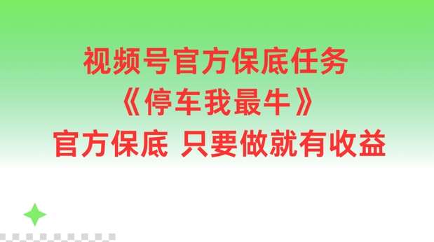 视频号官方保底任务,停车我最牛,官方保底只要做就有收益【揭秘】-靠谱项目库