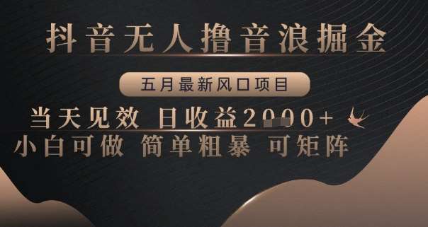 抖音无人撸音浪掘金，五月最新风口项目，当天见效，日收益多张，小白可做简单粗暴可矩阵【揭秘】-靠谱项目库
