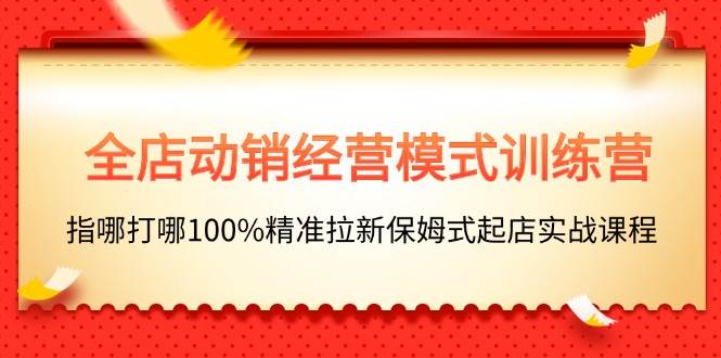 全店动销-经营模式训练营,指哪打哪100%精准拉新保姆式起店实战课程-靠谱项目库