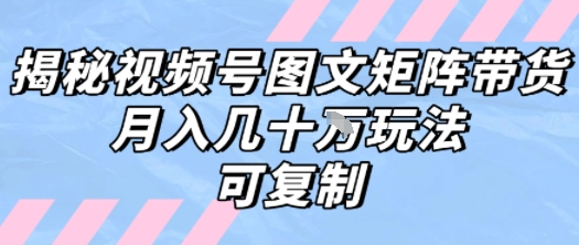 解密视频号图文矩阵带货，月入几个W的打法，可复制-靠谱项目库