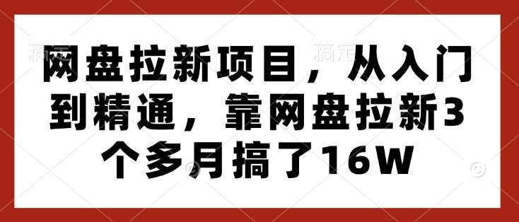 网盘拉新项目,从入门到精通,靠网盘拉新3个多月搞了16W-靠谱项目库