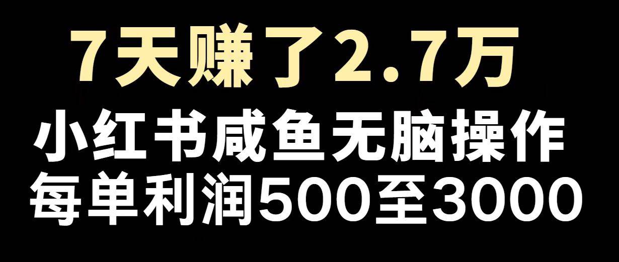 （14183期）最赚钱项目之一，2025爆火，逆风翻盘！-靠谱项目库