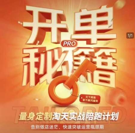 淘宝开单秘籍PRO，量身定制淘天实战陪跑计划，告别做店迷茫、快速突破运营瓶颈期-靠谱项目库