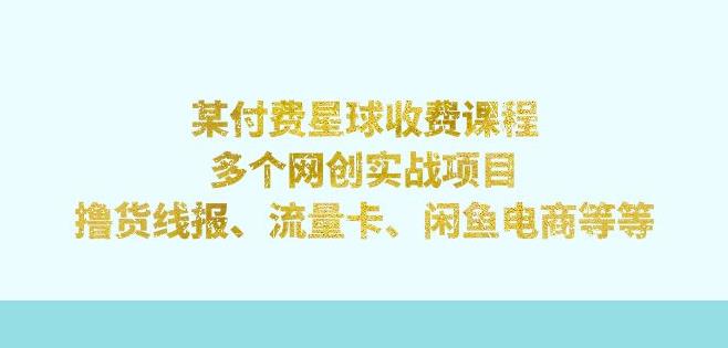 某付费星球课程：多个网创实战项目，撸货线报、流量卡、闲鱼电商等（文档非视频）-靠谱项目库