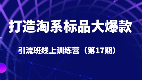 打造淘系标品大爆款引流班线上训练营5天直播授课-靠谱项目库