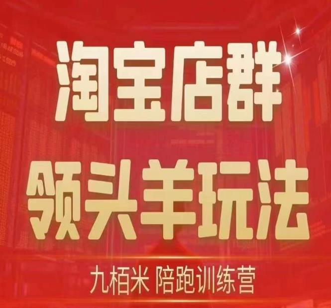 九栢米-淘宝店群领头羊玩法,教你整个淘宝店群领头羊玩法以及精细化/终极蓝海/尾销等内容-靠谱项目库