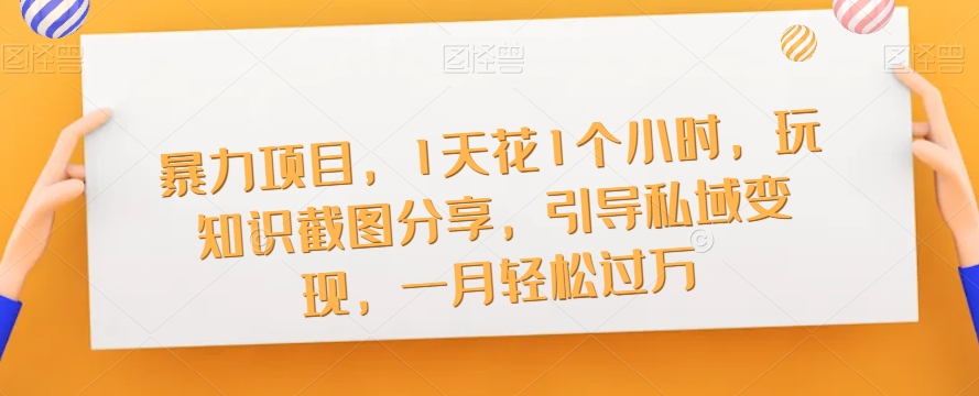 知识IP流量井喷营第2期，打造一套倍速吸粉、引流、转化的流量系统-靠谱项目库