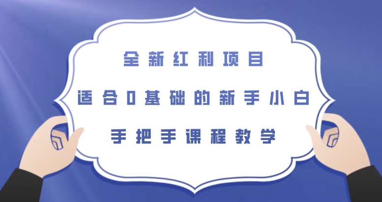 全新红利项目，适合0基础的新手小白，手把手课程教学【揭秘】-靠谱项目库