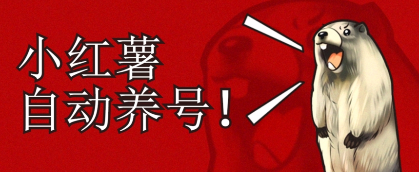 小红书养号秘籍,如何自动涨粉清晰系统标签打造高权重账号【揭秘】-靠谱项目库