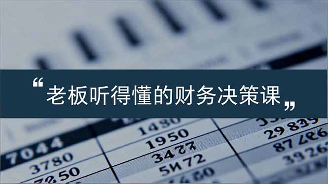 （16830期）老板能听得懂的财务决策课，报表解读、数据洞察、风险识别，用财务驱动业务增长-靠谱项目库