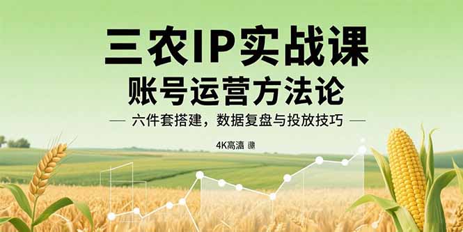 （15864期）三农IP实战课：账号运营方法论，六件套搭建，数据复盘与投放技巧-靠谱项目库