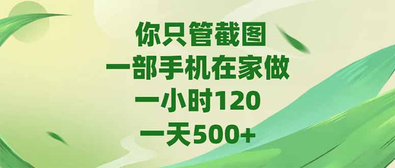 （15039期）你只管截图，一部手机在家做，一小时120，-天500+-靠谱项目库