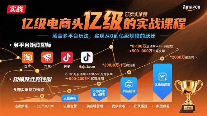 （15803期）亿级电商头部卖家的实战课程：涵盖多平台玩法，实现从0到亿级规模的跃迁-靠谱项目库