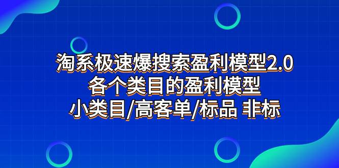 淘系极速爆搜索盈利模型2.0,各个类目的盈利模型,小类目/高客单/标品 非标-靠谱项目库