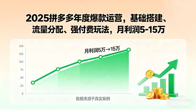 （15973期）2025拼多多年度爆款运营，基础搭建、流量分配、强付费玩法，月利润5-15万-靠谱项目库