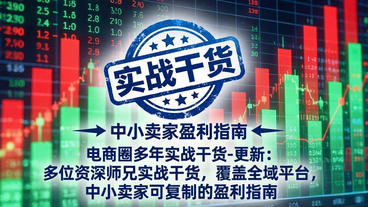 (17892期)电商圈多年实战干货-更新4月:多位资深师兄实战干货,覆盖全域平台,中小卖家可复制的盈利指南-靠谱项目库