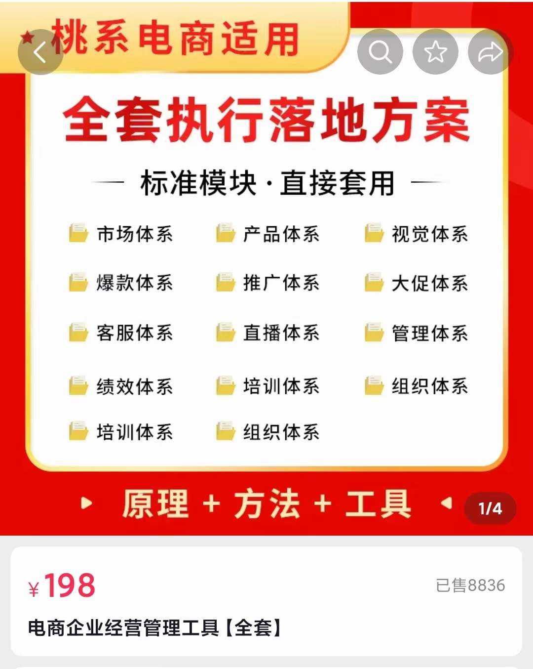 外面卖198·电商企业经营管理工具:全套执行落地方案 标准模块·直接套用-靠谱项目库