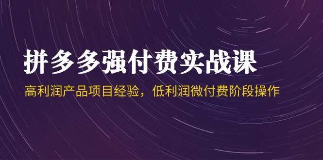 （14874期）拼多多强付费实战课-44期，高利润产品项目经验，低利润微付费阶段操作-靠谱项目库