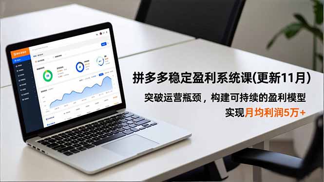 （16641期）拼多多稳定盈利系统课(更新11月)，突破运营瓶颈，构建可持续的盈利模型，实现月均利润5万+-靠谱项目库