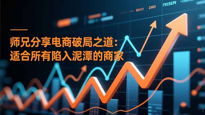 （16578期）师兄分享电商破局之道：适合所有陷入泥潭的商家-靠谱项目库