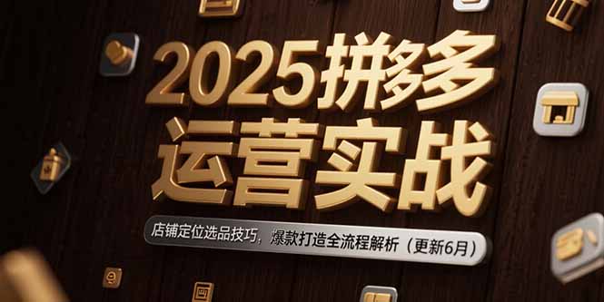 （15235期）2025拼多多运营实战：店铺定位选品技巧，爆款打造全流程解析（更新6月）-靠谱项目库