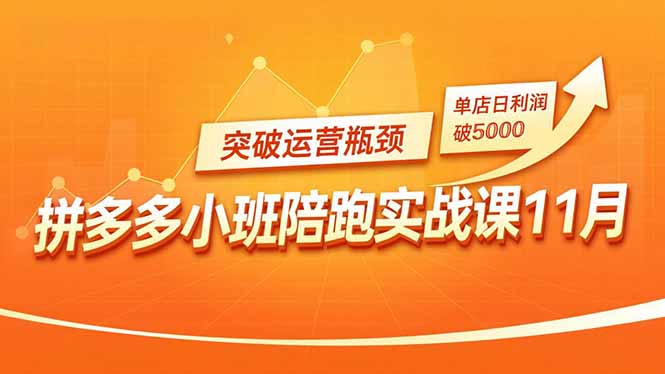 （16654期）拼多多小班陪跑实战课11月，强付费矩阵、原价活动、暗券引流，突破运营瓶颈，单店日利润破5000-靠谱项目库