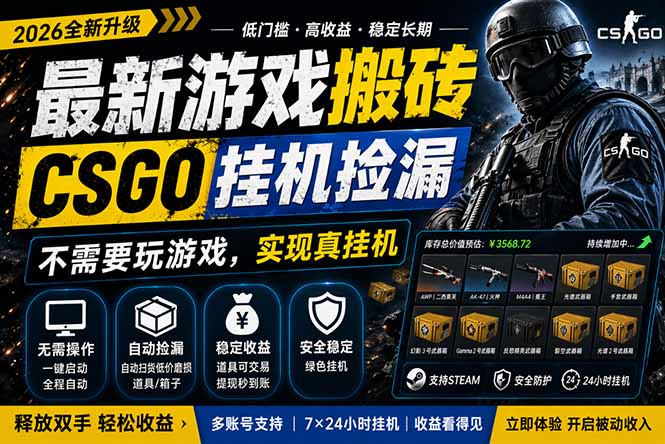 （18182期）最新游戏搬砖，CSGO纯挂机，不需要玩游戏，实现真挂机，月入1W+，五一小高峰上车可吃肉，…-靠谱项目库