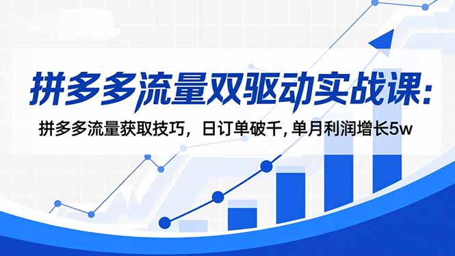 （16563期）拼多多流量双驱动实战课：拼多多流量获取技巧，日订单破千,单月利润增长5w-靠谱项目库