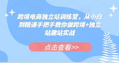 跨境电商独立站训练营，从小白到精通手把手教你做跨境+独立站建站实战-靠谱项目库