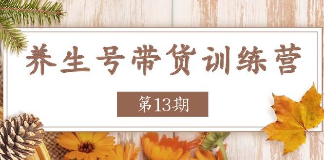 （11275期）养生号-带货训练营【第13期】收益更稳定的玩法，让你带货收益爆炸-靠谱项目库