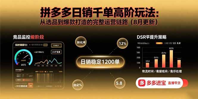 （15850期）拼多多日销千单高阶玩法：从选品到爆款打造的完整运营链路（8月更新）-靠谱项目库
