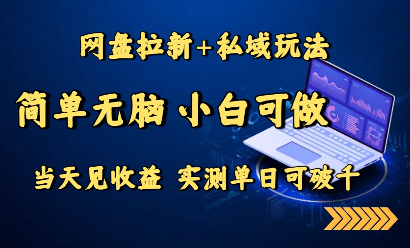 (15744期)网盘拉新+私域玩法,简单无脑,小白可做,当天见收益,实测单日可破千-靠谱项目库