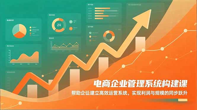 （16643期）电商企业管理系统构建课：帮助企业建立高效运营系统，实现利润与规模的同步跃升-靠谱项目库