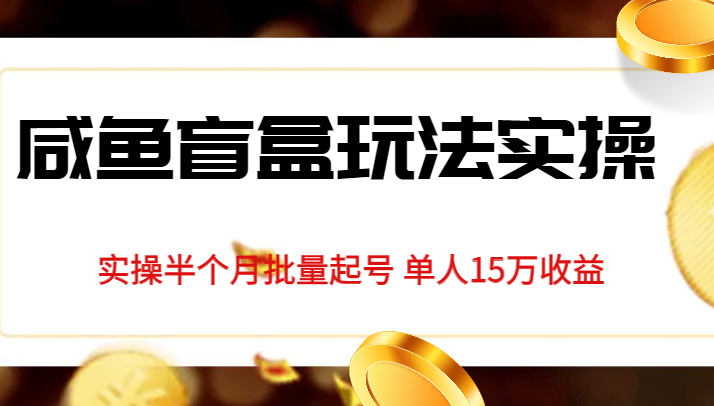独家首发咸鱼盲盒玩法实操，半个月批量起号单人15万收益揭秘-靠谱项目库
