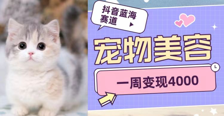 抖音蓝海赛道,宠物美容,一周变现4000 抖音蓝海赛道,宠物美容,一周变现4000