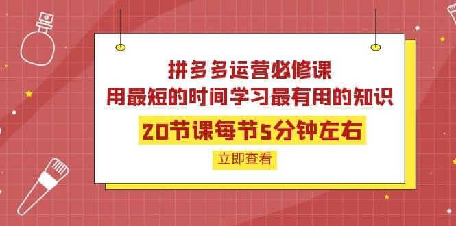 拼多多运营必修课:20节课每节5分钟左右,用最短的时间学习最有用的知识-靠谱项目库