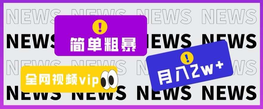 简单粗暴零成本，高回报，全网视频VIP掘金项目，月入2万＋【揭秘】-靠谱项目库