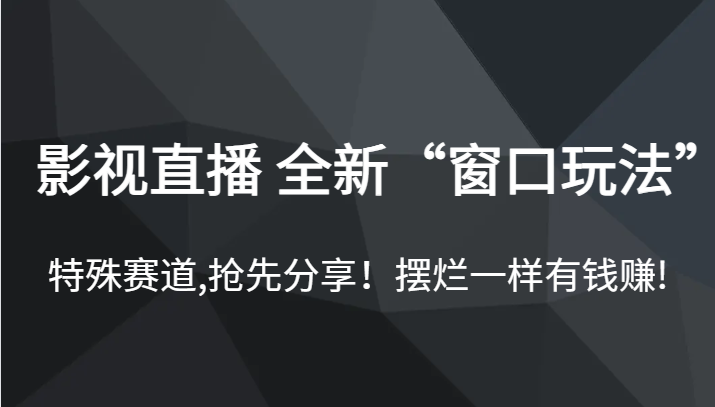 影视直播 全新“窗口玩法”，特殊赛道,抢先分享！摆烂一样有钱赚!-靠谱项目库