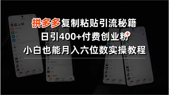 （15613期）拼多多复制粘贴引流秘籍，日引400+付费创业粉，小白也能月入六位数实操…-靠谱项目库